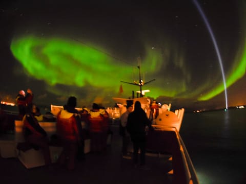 Reykjavík Northern Lights Cruise without pickup, photo 5