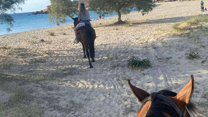 Sunrise Riding Tour & Swimming with horses at Kakapetra in Paros. Beginners  & Experienced Riders Zas Tours