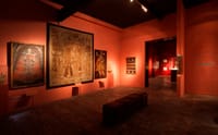 Tour Larco Museum with dinner 7