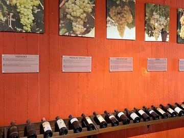 Culinary Tour of Wine, Raki, and Olive Oil in Archanes