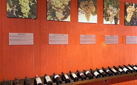 Culinary Tour of Wine, Raki, and Olive Oil in Archanes