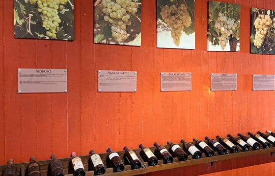 Wine Raki Olive Oil Tasting and Pottery – Private Tour