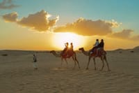 Camel Trekking in Abu Dhabi 3