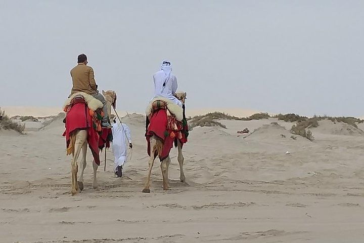 Doha Combo City And Half Day Desert Safari Tour No Hidden cost