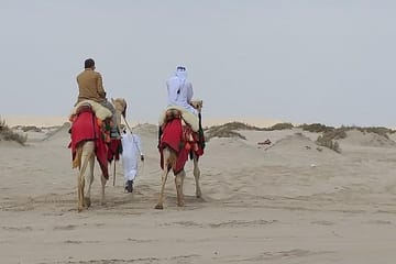 Doha City Tour and Half-Day Desert Safari Experience