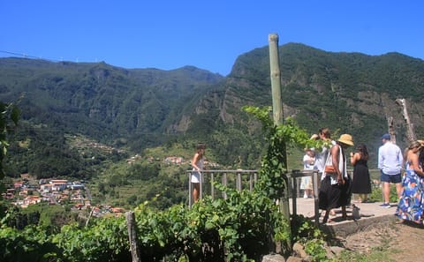 ATV Tour and Wine Tasting in Madeira's Scenic Landscapes