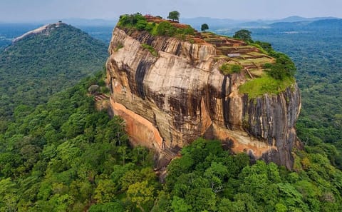 Sigiriya Rock Fortress and Minneriya Safari from Negombo