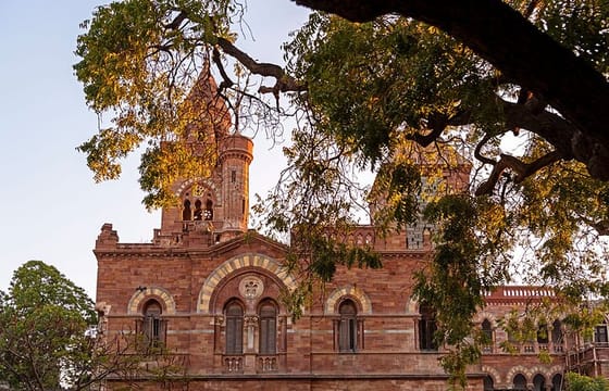 Bhuj, Rann of Kutch & Mandvi Beach: The Art, Craft & Nature Tour