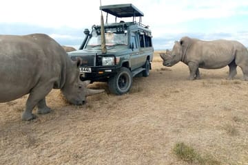 4 Days Aberdare and Samburu Safari on 4×4 Land Cruiser Jeep