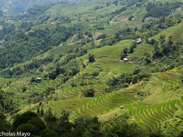 6-Day Trekking Adventure in Ha Giang, Vietnam