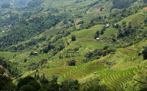 6-Day Trekking Adventure in Ha Giang, Vietnam