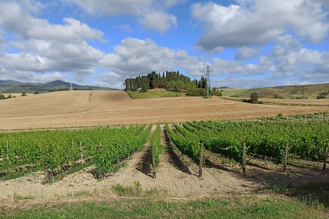 PRIVATE EXCURSION: Volterra & San Gimignano + wine tastings (from Livorno Port)  - Photo 3