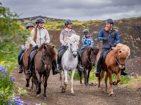 Classic Whales & Viking Horses, photo 3