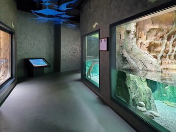 Megafun-baku-kids-tour-entertaintment-tour-baku-Azerbaijan-Zoo-Park-Baku-Azerbaijan-tour-kid-children-tour-aquarium