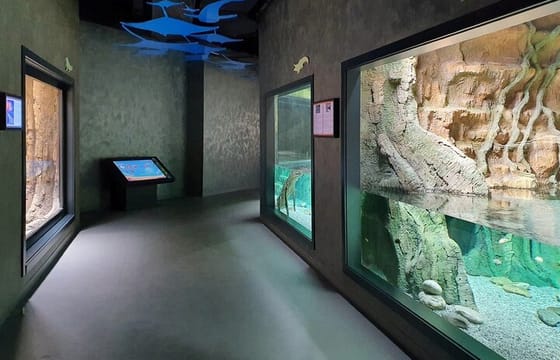 Private Kids Entertainment Day Tour in Baku