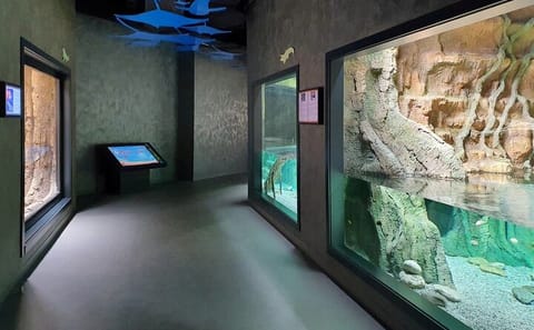 Family-Friendly ATV and Museum Tour in Baku