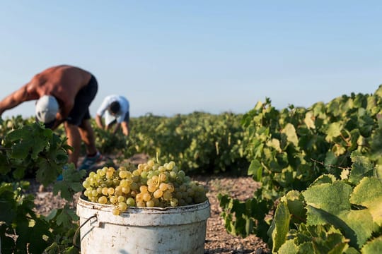 Private Evening Santorini Food and Wine Tasting Tour