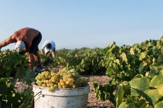 Private Evening Santorini Food and Wine Tasting Tour