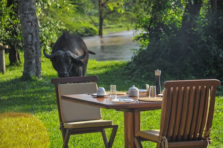 3 Days Queen Elizabeth Wildlife Safari