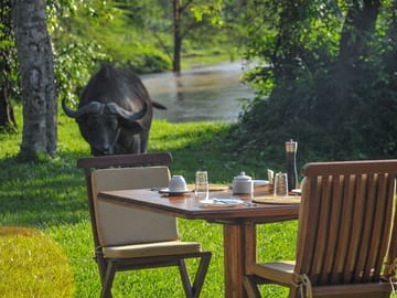 3-Day ATV and Wildlife Safari in Queen Elizabeth, Uganda