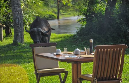 3 Days Queen Elizabeth Wildlife Safari