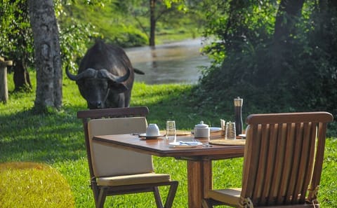 3-Day ATV and Wildlife Safari in Queen Elizabeth, Uganda