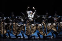 Fire of Anatolia Dance Show Dinner and Transfer from Kemer 6