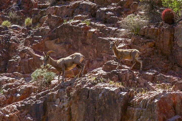 Emerald Cave: Full-Day Exploration