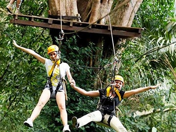 Ziplining from tree to tree