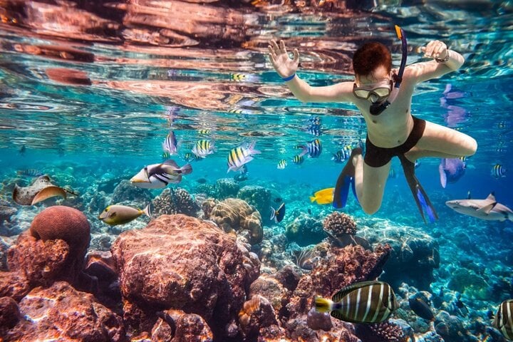 Marsa Mubarak Intro Dive & Snorkeling with Transfer : Marsa Alam