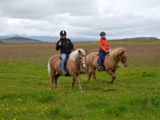 Pleasure in every hoof step, photo 10
