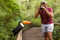 Take the best pictures 
