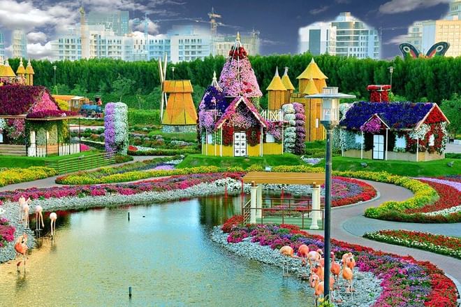 Dubai Miracle Garden With Optional Transfers