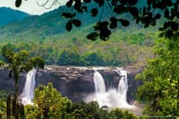 Day Tour in Alleppey and Cochin with Backwater Cruise and Beach 8