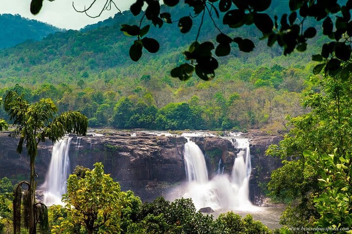 Day Tour in Alleppey and Cochin with Backwater Cruise and Beach 8