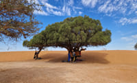 Agadir Jeep Safari & Sahara Adventure – Full-Day Tour with Tajine 3