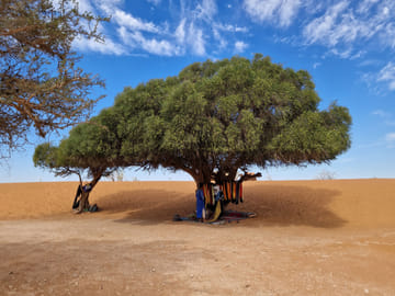 Agadir Jeep Safari and Sahara Desert Adventure with Lunch