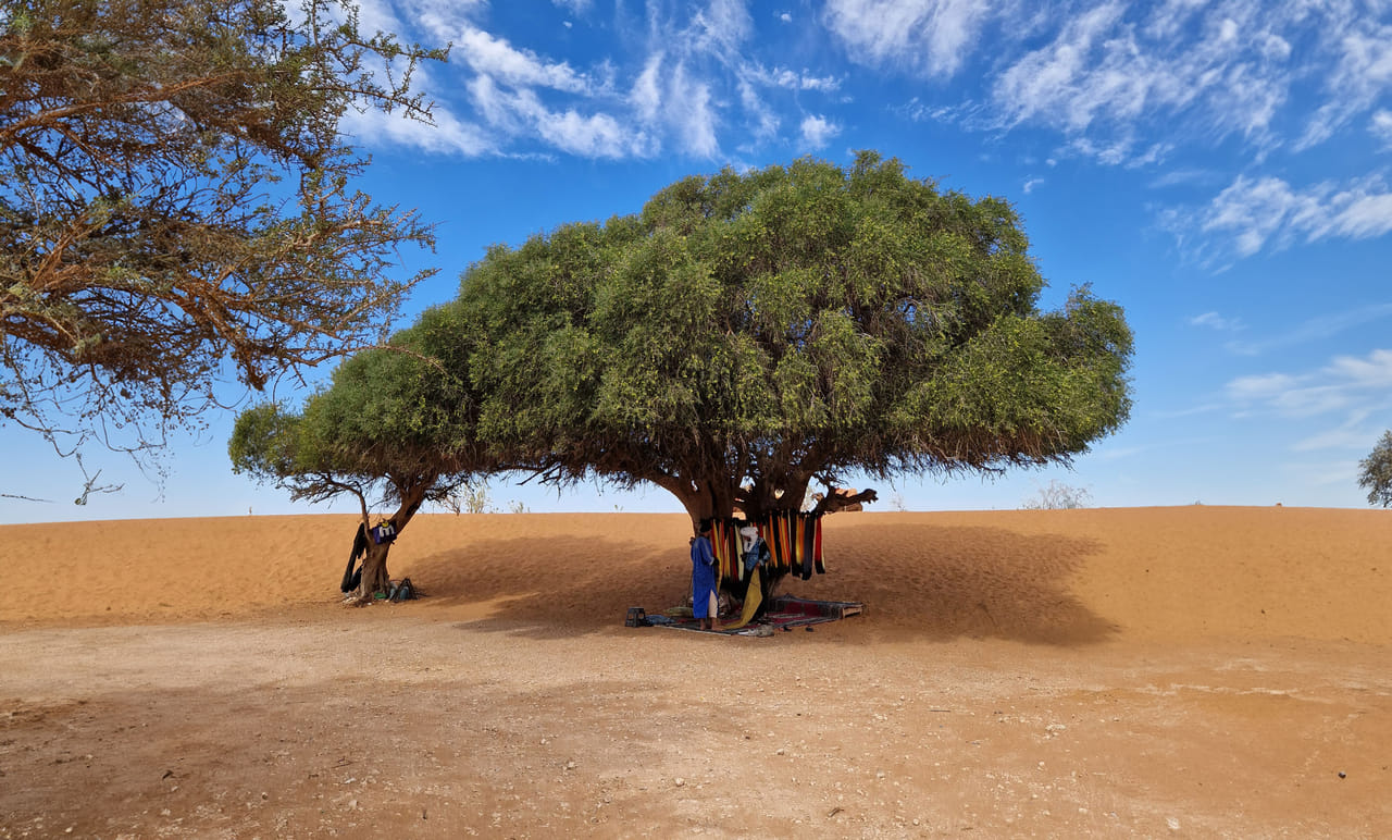 Agadir Jeep Safari & Sahara Adventure – Full-Day Tour with Tajine 3