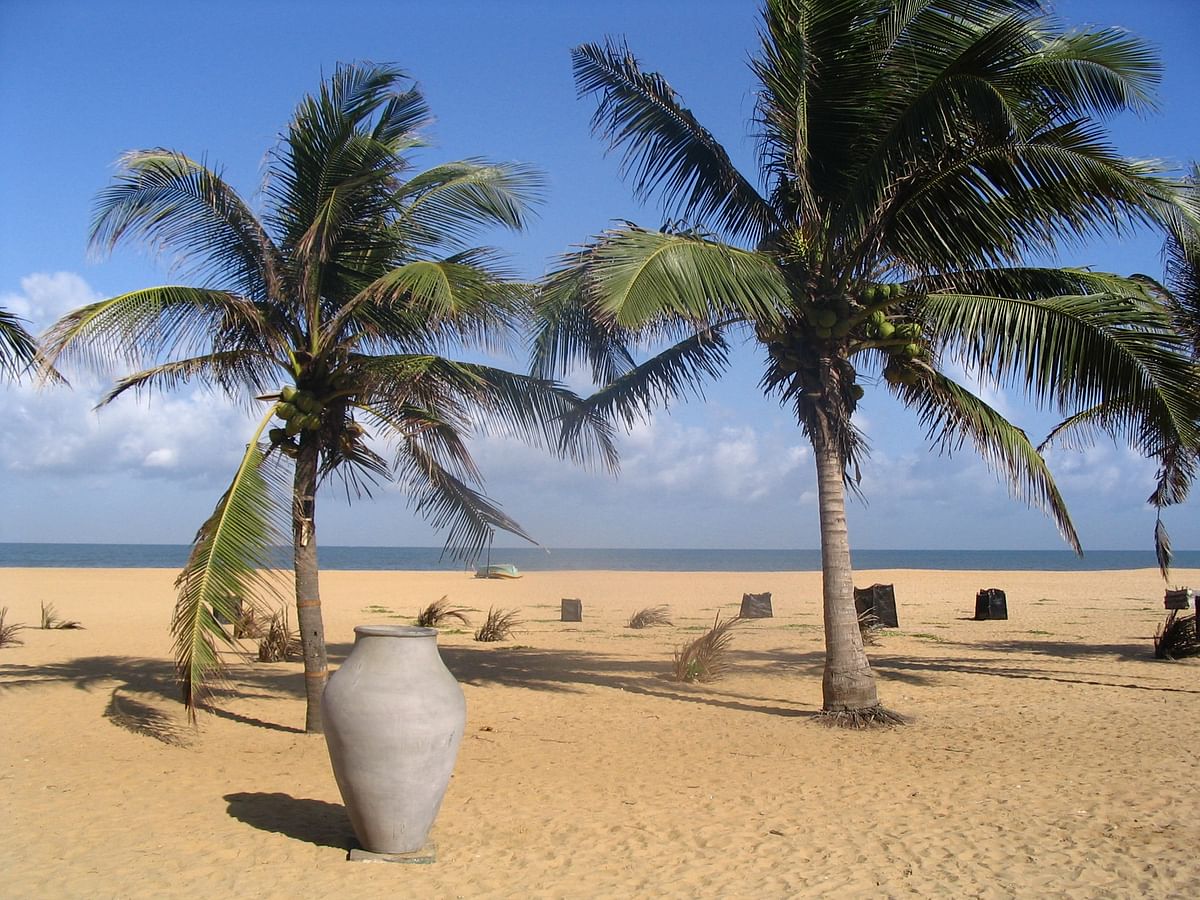 Sri Lanka Beach & Hill Country Adventure: Elephants, Whales & Culture