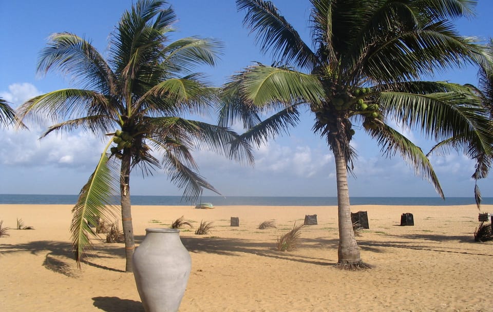 07 Day Beach and Hill Country Exprience