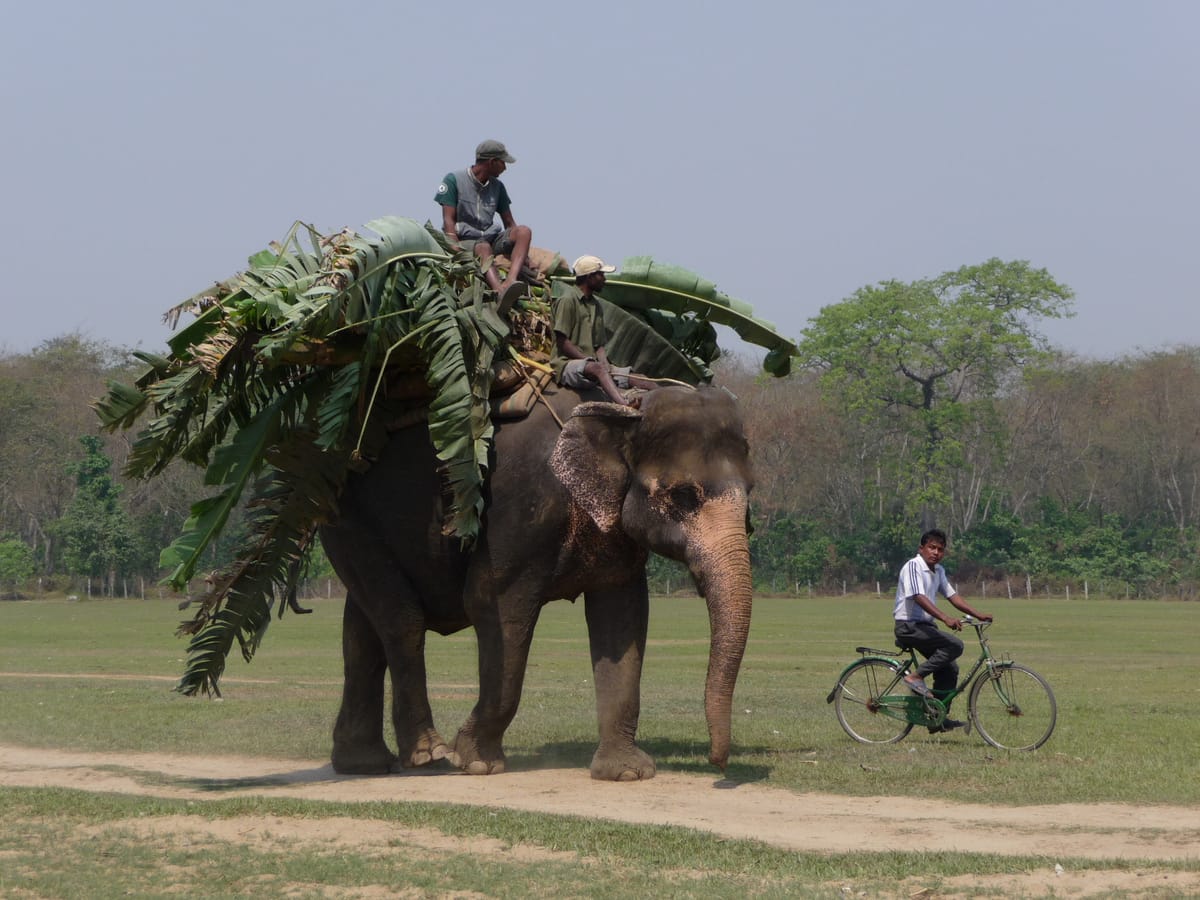 19 Days Mera Peak Climbing & Expedition – One Life-Changing Himalayan Adventure