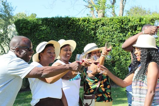 Private Visit to the Wineries Stellenbosch Franschoek from Cape Town Full Day