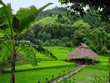 Laos Family Adventure 10 Days 9 Nights