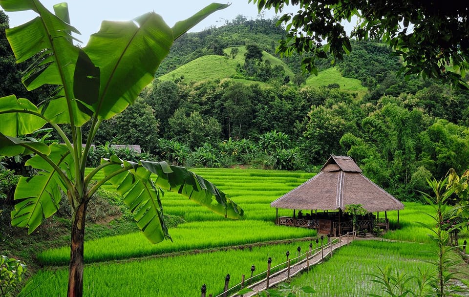 Cultural Family Tour of Luang Prabang and Surroundings
