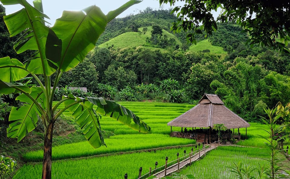 Cultural Family Tour of Luang Prabang and Surroundings