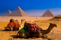 Pyramids of Giza, Camel, Egypt