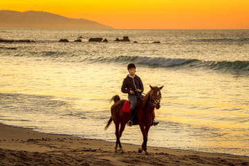 Horseback Riding – Tangier (Mountain & Sea)