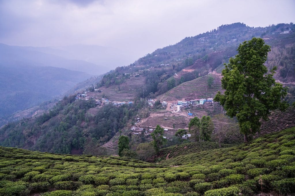 19 Days Mera Peak Climbing & Expedition – One Life-Changing Himalayan Adventure