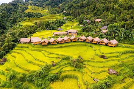 Explore Hoang Su Phi: Private Car Tour in Ha Giang's Majestic Landscapes