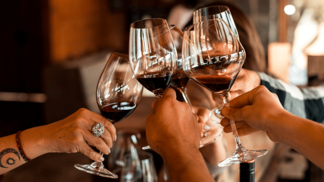 Private Full Day  Scuba Diving and Wine Tour From Santiago 7